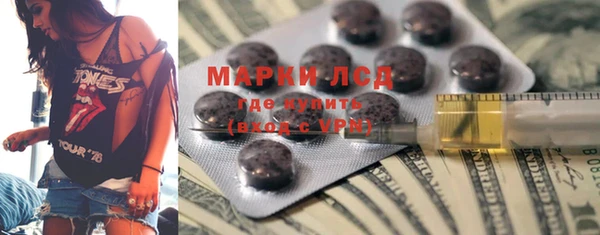 прущие грибы Абинск
