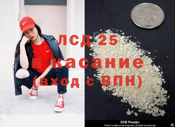 прущие грибы Абинск