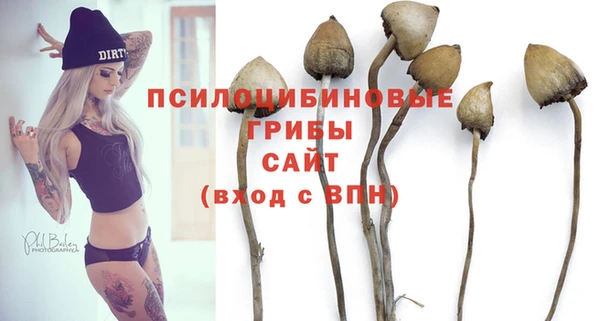 сатива Абаза