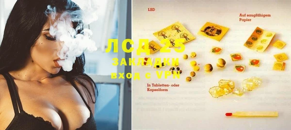 прущие грибы Абинск