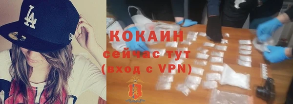 сатива Абаза