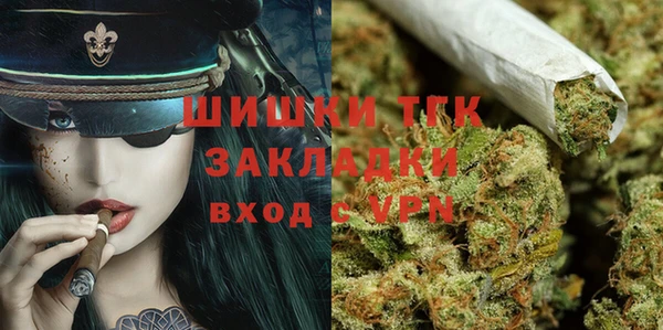 прущие грибы Абинск