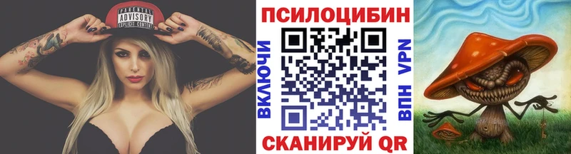 где найти   Ростов-на-Дону  Галлюциногенные грибы Psilocybine cubensis 