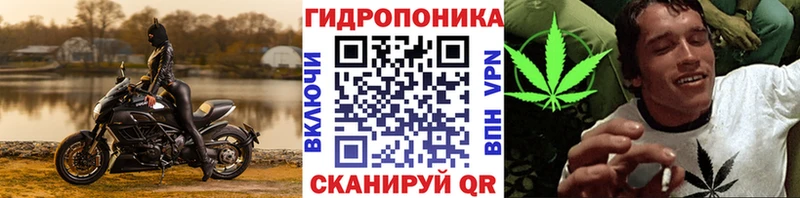 МАРИХУАНА THC 21%  кракен ссылки  Ростов-на-Дону 